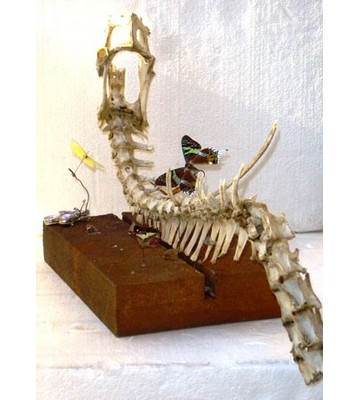 Indagine